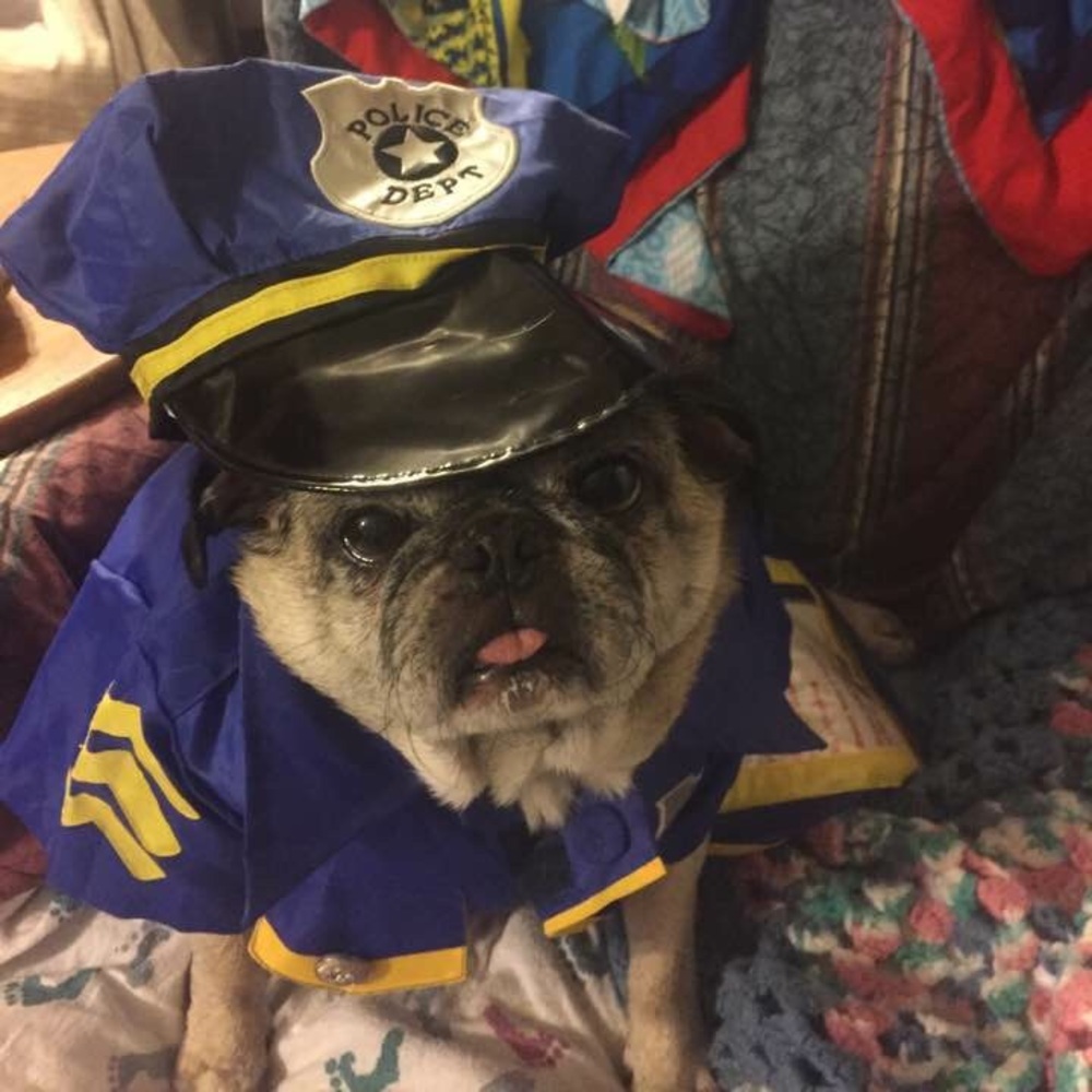 Bundle your likes now for great discounts